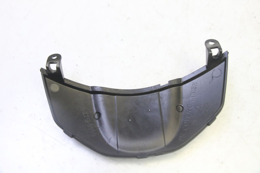 photo de VERKLEIDUNG VORNE MITTE PEUGEOT TWEET PRO CARGO 50 (2018 - 2022) - Zoom auf Gebrauchszustand