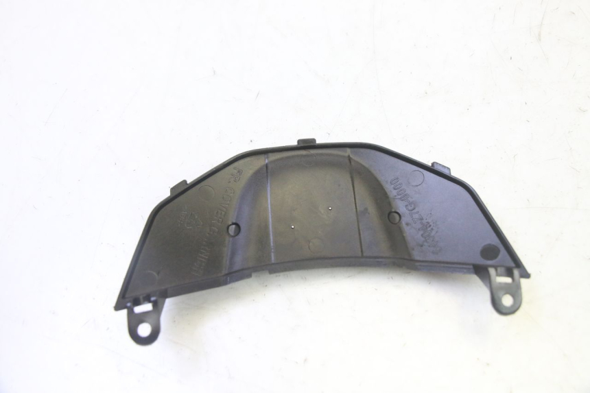 photo de VERKLEIDUNG VORNE MITTE PEUGEOT TWEET PRO CARGO 50 (2018 - 2022) - Alternative Perspektive