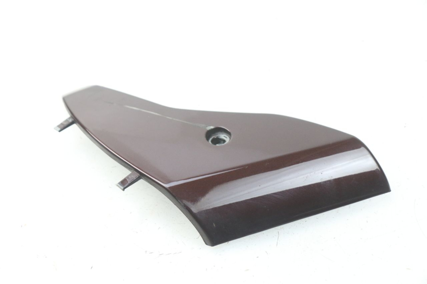 photo de VERKLEIDUNG VORNE MITTE PIAGGIO VESPA LX IE 125 (2010 - 2012) - Zoom auf Gebrauchszustand