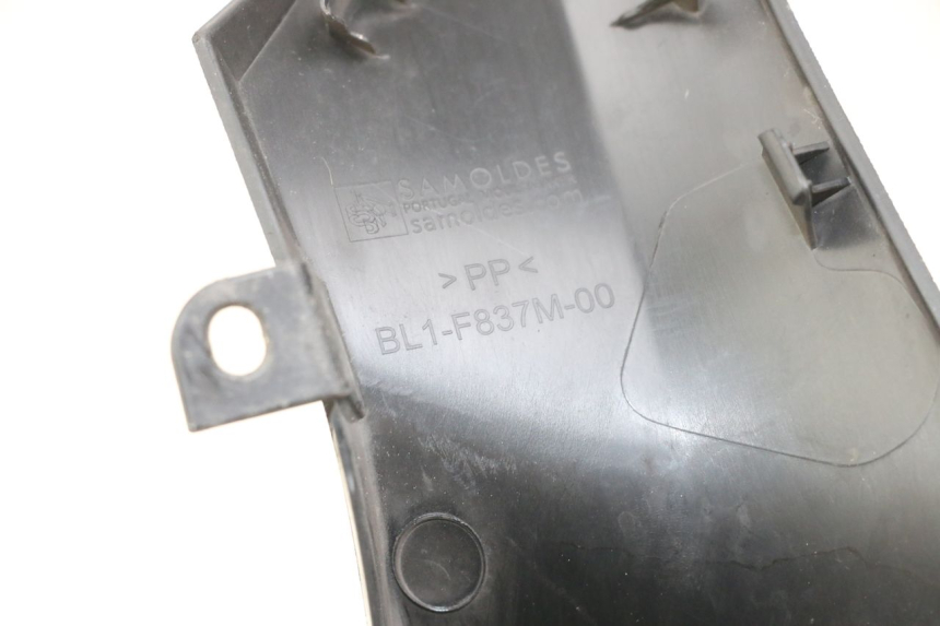 photo de UNTERE VERKLEIDUNGSVERBINDUNG VORNE YAMAHA XMAX X-MAX ABS 125 (2017 - 2020) - Gesamtansicht des Produkts