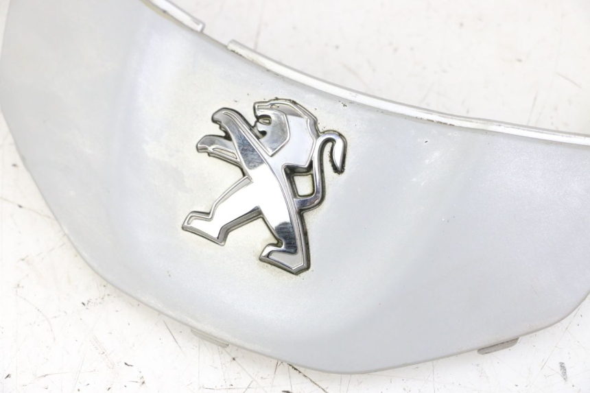 photo de FRONTVERKLEIDUNG MITTE PEUGEOT TWEET 4T 50 (2014 - 2019) - Detailansicht des Bauteils