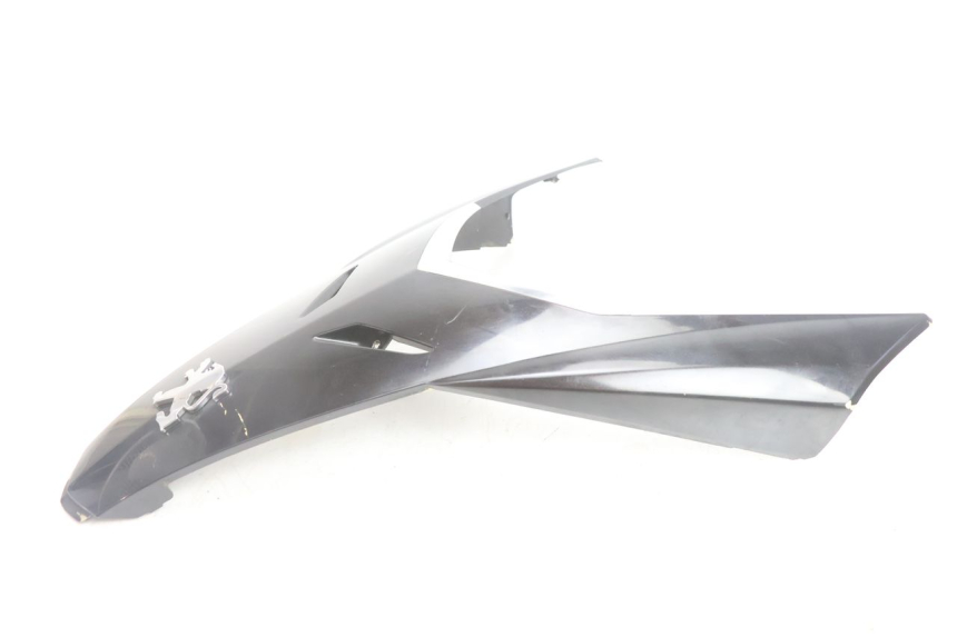 photo de FRONTVERKLEIDUNG MITTE PEUGEOT SATELIS 125 (2006 - 2009) - Technische Nahaufnahme
