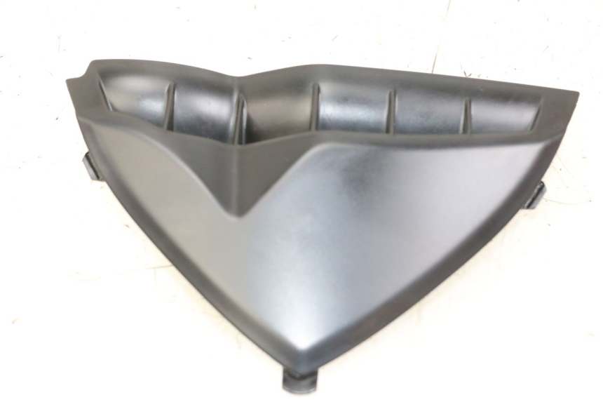 photo de VERKLEIDUNG VORNE MITTE YAMAHA FZ1 FAZER 1000 (2007 - 2009) - Hauptansicht