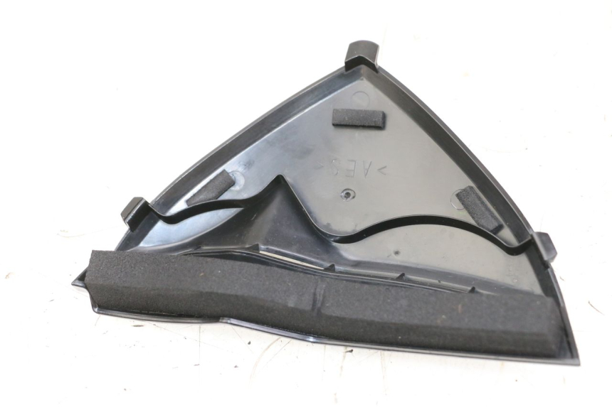 photo de VERKLEIDUNG VORNE MITTE YAMAHA FZ1 FAZER 1000 (2007 - 2009) - Detailansicht des Bauteils