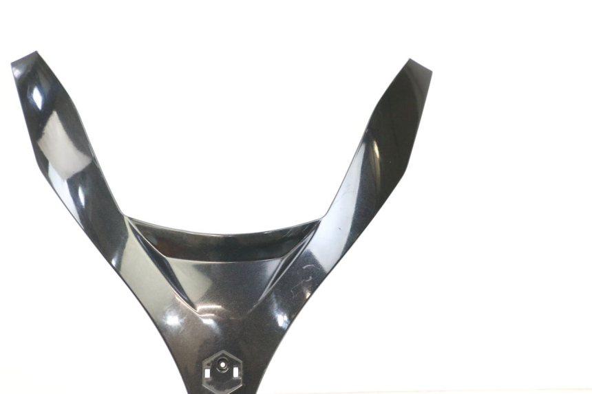 photo de VERKLEIDUNG VORNE MITTE PIAGGIO MP3 125 (2006 - 2014) - Technische Nahaufnahme