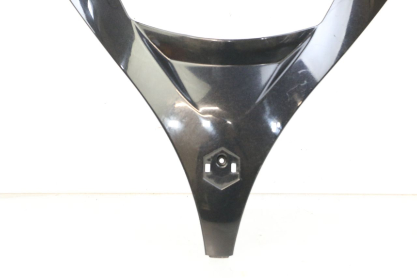 photo de VERKLEIDUNG VORNE MITTE PIAGGIO MP3 125 (2006 - 2014) - Gesamtansicht des Produkts