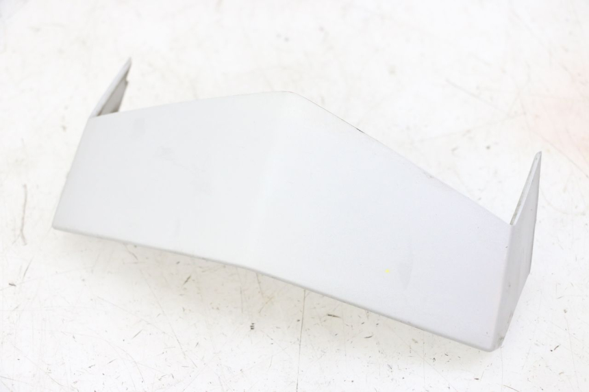 photo de VERKLEIDUNG VORNE MITTE PEUGEOT VIVACITY NEW 2T 50 (2008 - 2017) - Hauptansicht