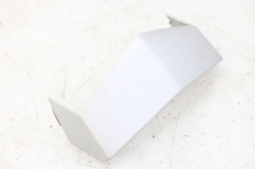 photo de VERKLEIDUNG VORNE MITTE PEUGEOT VIVACITY NEW 2T 50 (2008 - 2017) - Gesamtansicht des Produkts