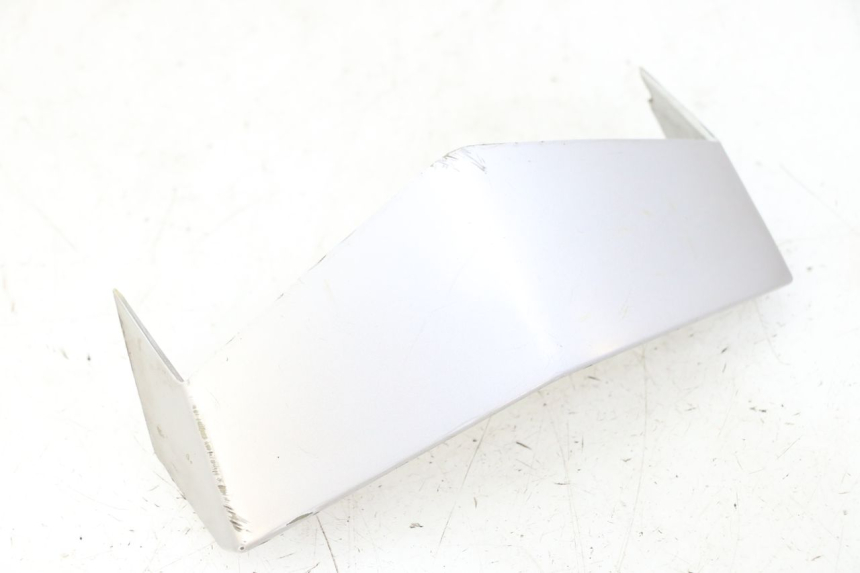 photo de VERKLEIDUNG VORNE MITTE PEUGEOT VIVACITY NEW 2T 50 (2008 - 2017) - Hauptansicht