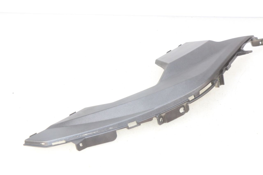 photo de TRITTBRETT VERKLEIDUNG MITTE RECHTS NECO GPX 4T 50 (2018 - 2022) - Alternative Perspektive