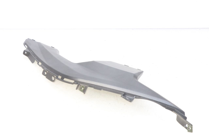 photo de TRITTBRETT VERKLEIDUNG MITTE RECHTS NECO GPX 4T 50 (2018 - 2022) - Technische Nahaufnahme