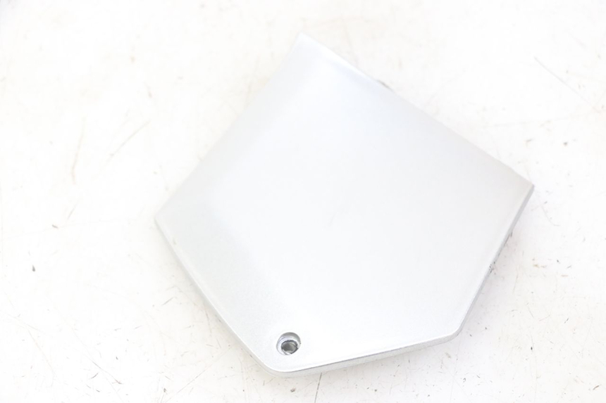 photo de TRITTBRETT VERKLEIDUNG MITTE RECHTS PIAGGIO MP3 LT 300 (2010 - 2016) - Zoom auf Gebrauchszustand