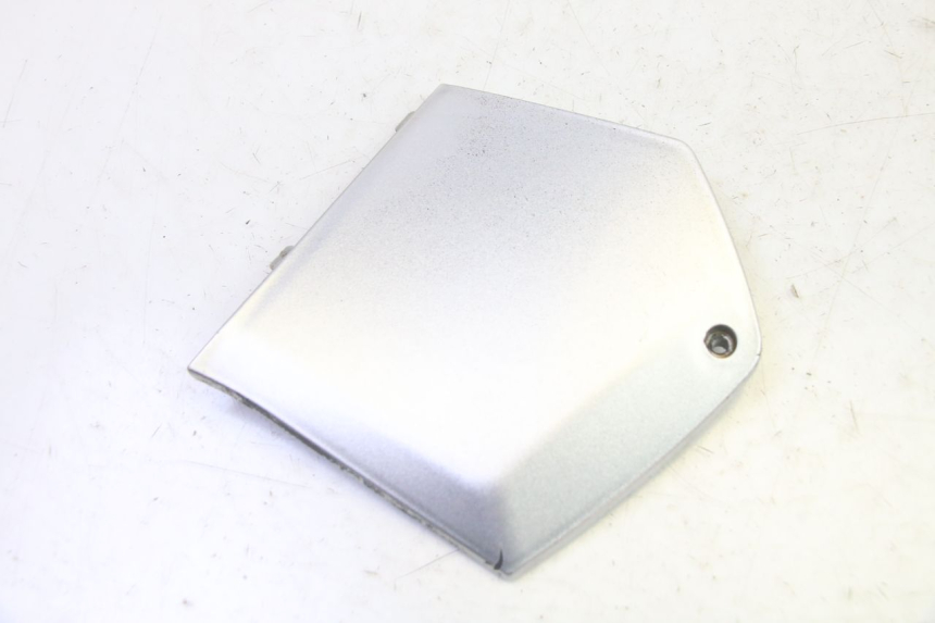 photo de TRITTBRETT VERKLEIDUNG MITTE RECHTS PIAGGIO MP3 RL 250 (2006 - 2010) - Hauptansicht