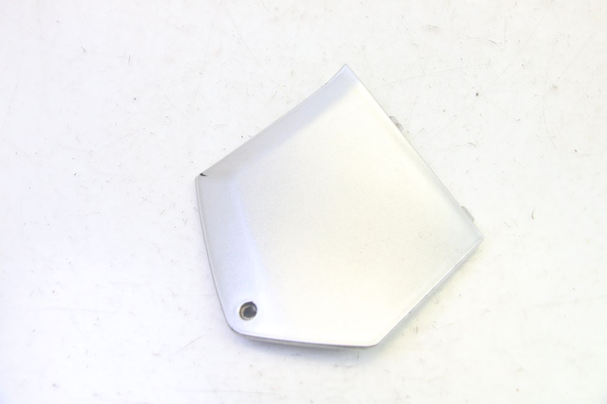 photo de TRITTBRETT VERKLEIDUNG MITTE RECHTS PIAGGIO MP3 RL 250 (2006 - 2010) - Alternative Perspektive