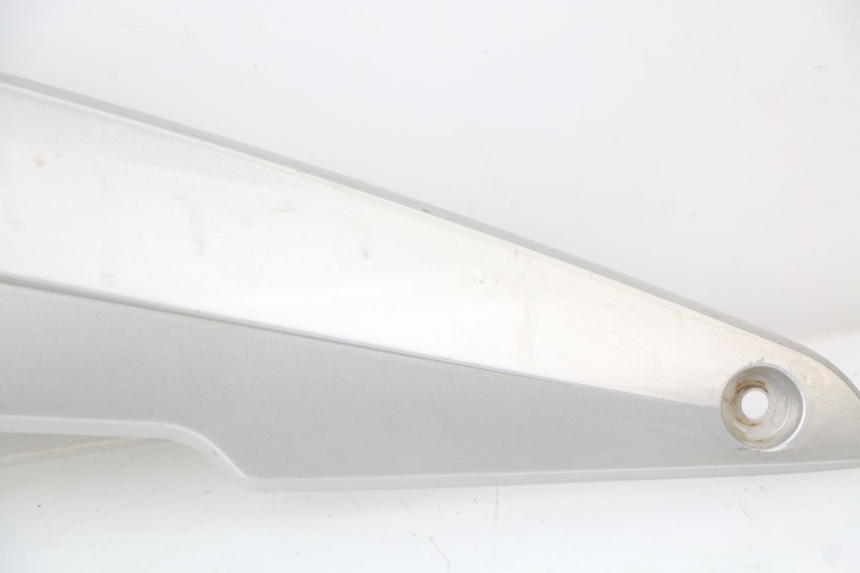 photo de TRITTBRETT VERKLEIDUNG MITTE RECHTS RAZZO STEED 125 (2012 - 2018) - Hochauflösende Nahaufnahme