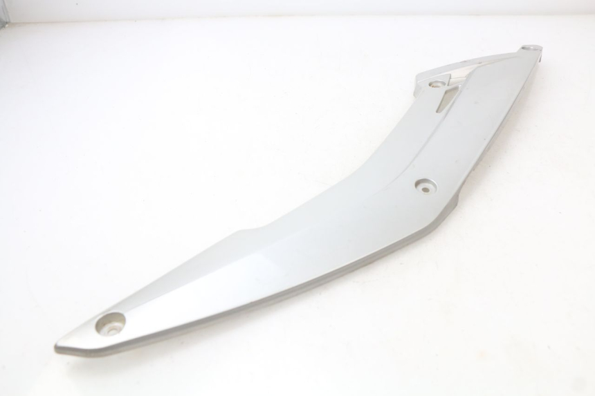 photo de TRITTBRETT VERKLEIDUNG MITTE RECHTS RAZZO STEED 125 (2012 - 2018) - Oberflächenzustand und Material