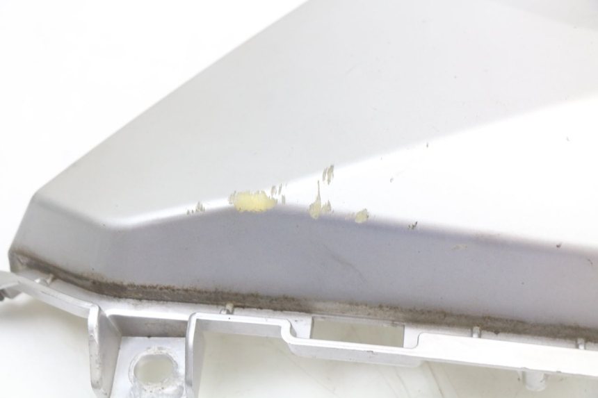 photo de TRITTBRETT VERKLEIDUNG MITTE LINKS LONGJIA EASY MAX 125 (2020 - 2024) - Oberflächenzustand und Material