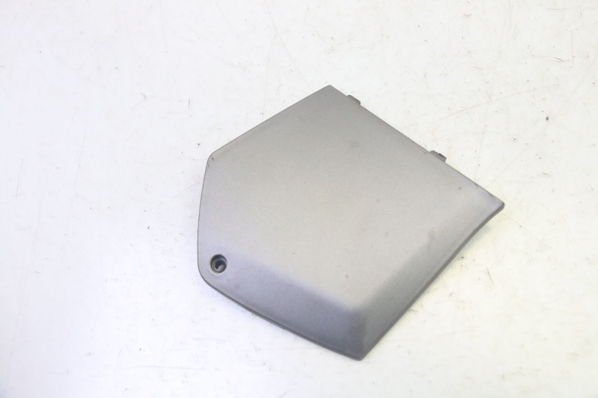 photo de TRITTBRETT VERKLEIDUNG MITTE LINKS PIAGGIO MP3 125 (2006 - 2014) - Hauptansicht