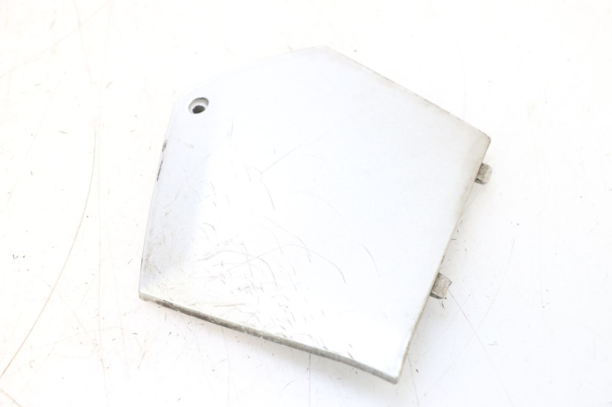 photo de TRITTBRETT VERKLEIDUNG MITTE LINKS PIAGGIO MP3 RL 250 (2006 - 2010) - Hauptansicht