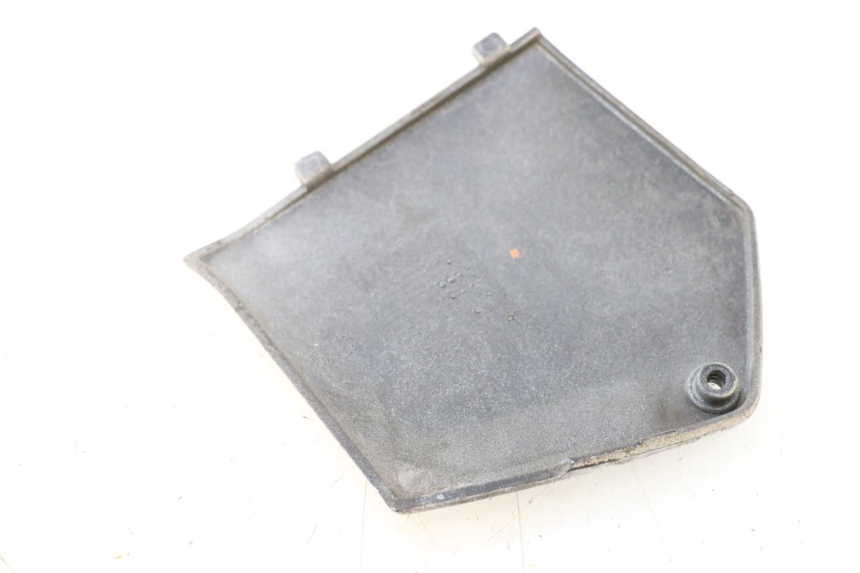 photo de TRITTBRETT VERKLEIDUNG MITTE LINKS PIAGGIO MP3 RL 250 (2006 - 2010) - Detailansicht des Bauteils