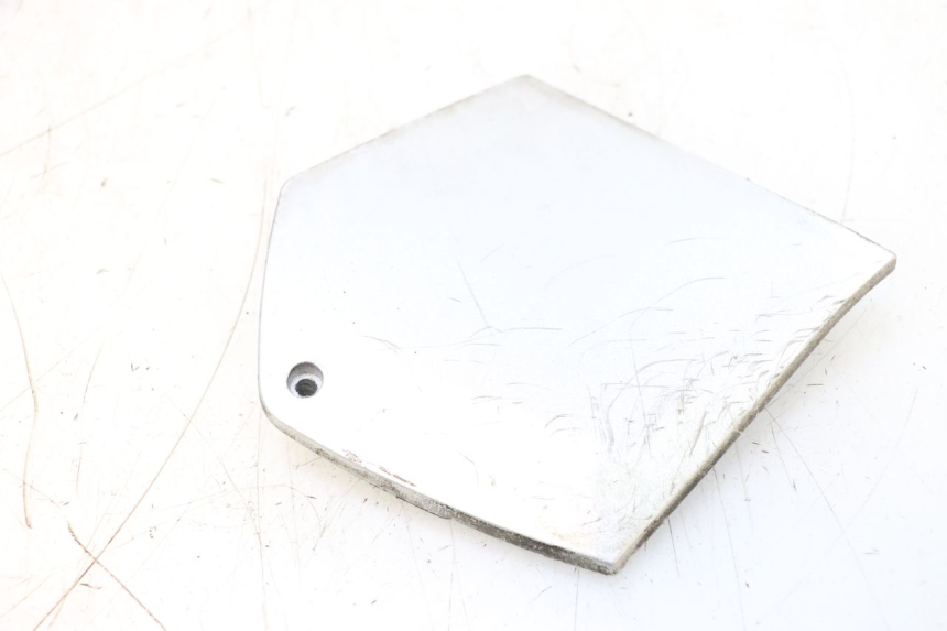 photo de TRITTBRETT VERKLEIDUNG MITTE LINKS PIAGGIO MP3 RL 250 (2006 - 2010) - Alternative Perspektive