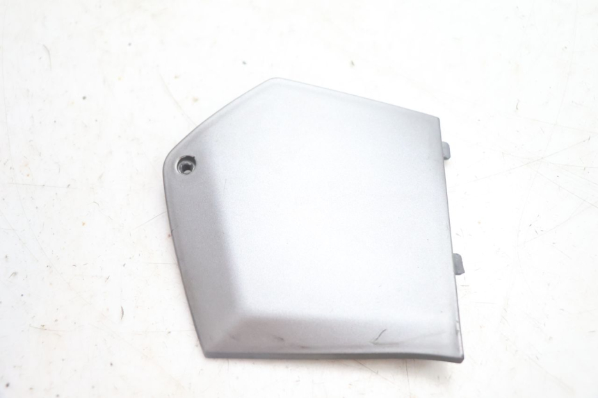 photo de TRITTBRETT VERKLEIDUNG MITTE LINKS PIAGGIO MP3 125 (2006 - 2014) - Hauptansicht