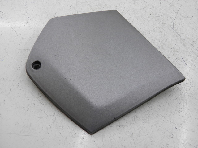 photo de TRITTBRETT VERKLEIDUNG MITTE LINKS PIAGGIO MP3 RL 125 (2006 - 2014) - Detailansicht des Bauteils