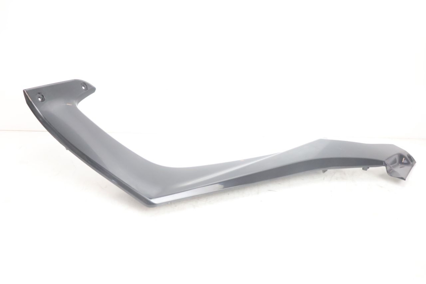 photo de TRITTBRETT VERKLEIDUNG MITTE LINKS JM MOTORS R-MAX TECH 50 (2024 - 2026) - Technische Nahaufnahme