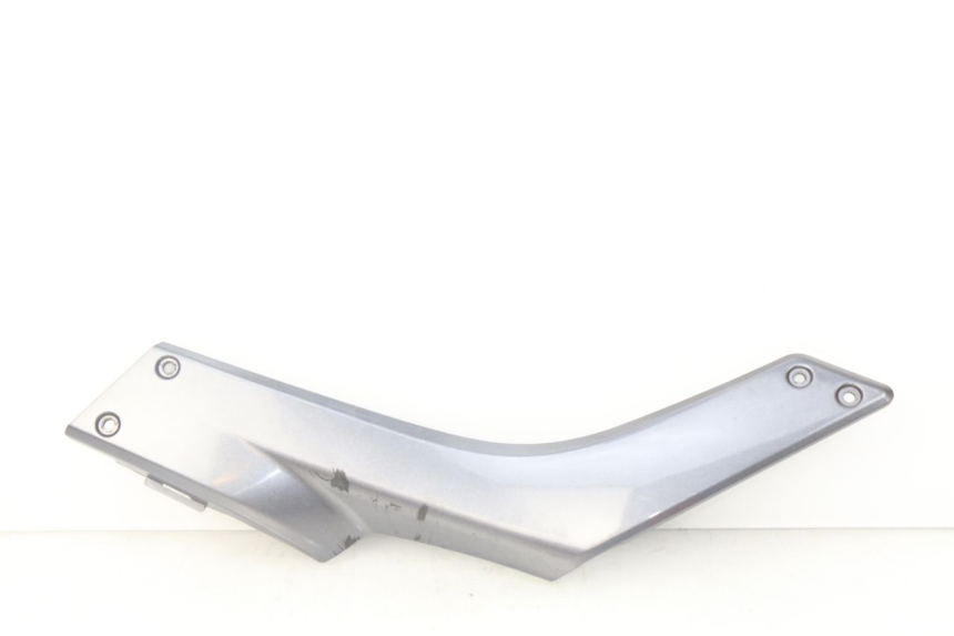 photo de TRITTBRETT VERKLEIDUNG MITTE LINKS APRILIA SRV 850 (2012 - 2017) - Hauptansicht