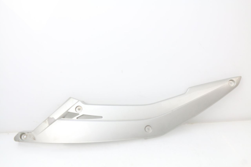 photo de TRITTBRETT VERKLEIDUNG MITTE LINKS RAZZO STEED 125 (2012 - 2018) - Hauptansicht