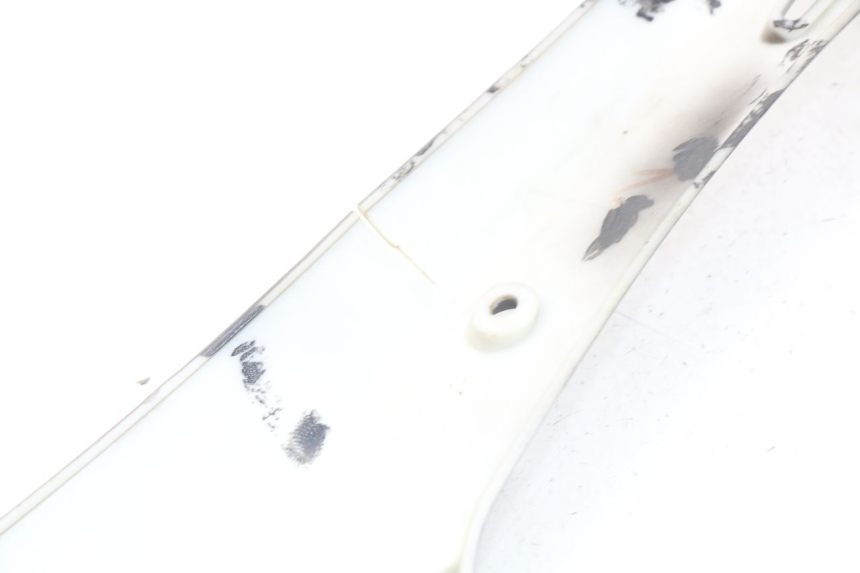 photo de TRITTBRETT VERKLEIDUNG MITTE JONWAY GTX 2T 50 (2014 - 2020) - Zoom auf Gebrauchszustand