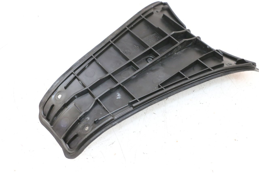 photo de TRITTSTUFENVERBINDUNG PIAGGIO VESPA GTS SUPER IE 125 (2009 - 2016) - Alternative Perspektive