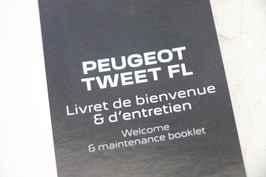 photo de BENUTZERHANDBUCH PEUGEOT TWEET 4T 50 (2023 - 2025) - Alternative Perspektive