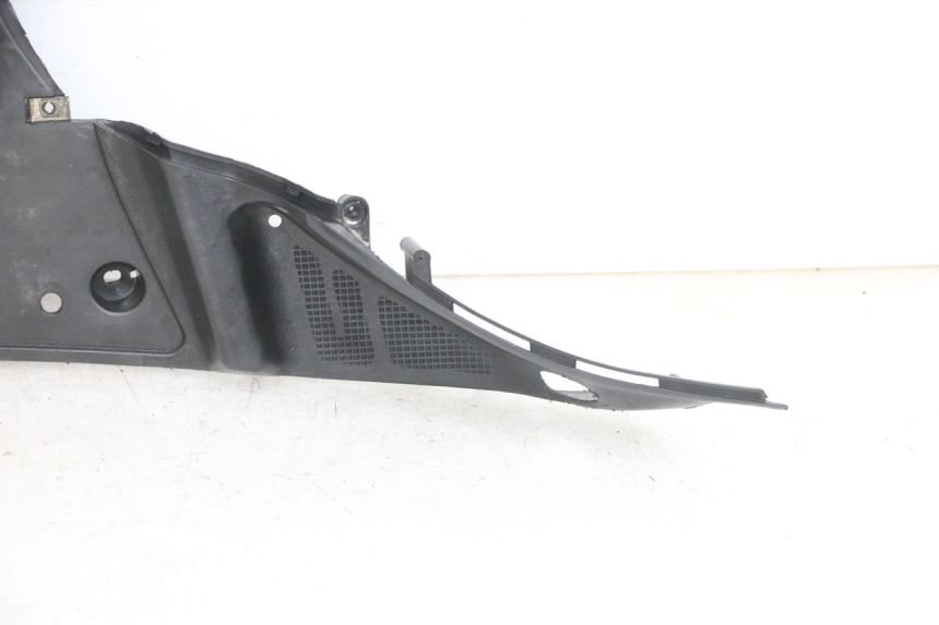 photo de FUßRASTE LONGJIA DIGITA 4T 50 (2019 - 2022) - Charakteristische Merkmale