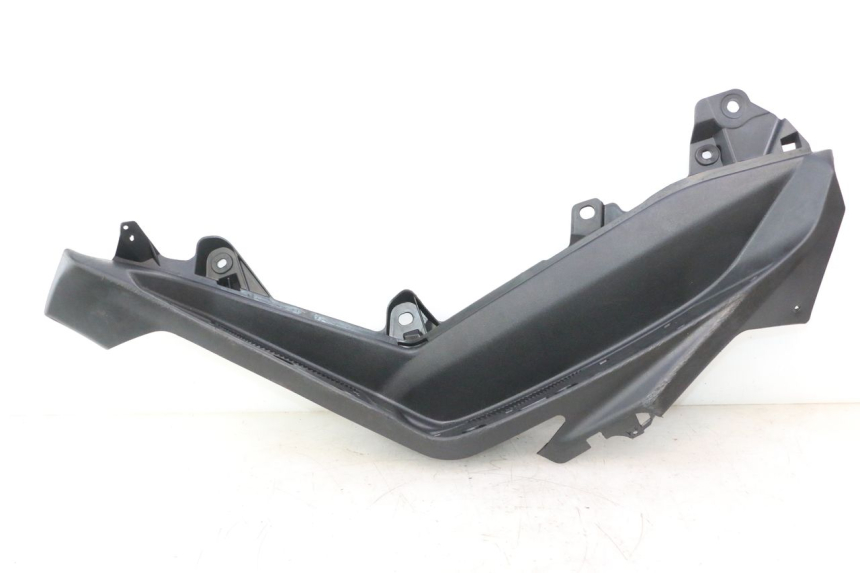 photo de TRITTBRETT VERKLEIDUNG LINKS JM MOTORS R-MAX TECH 50 (2024 - 2026) - Hauptansicht