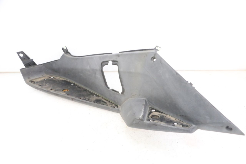 photo de TRITTBRETT VERKLEIDUNG LINKS PEUGEOT SATELIS 250 (2006 - 2012) - Hauptansicht