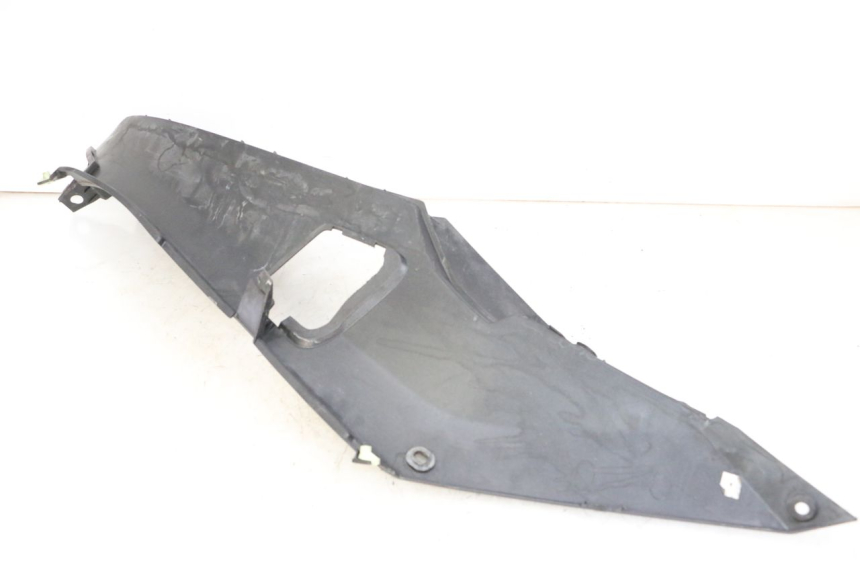 photo de TRITTBRETT VERKLEIDUNG LINKS PEUGEOT SATELIS 250 (2006 - 2012) - Gesamtansicht des Produkts