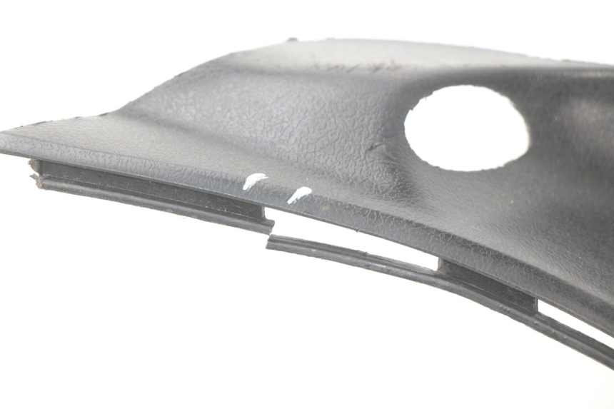 photo de TRITTBRETT VERKLEIDUNG BAOTIAN TRAVEL SPIRIT 50 (2010 - 2012) - Hochauflösende Nahaufnahme