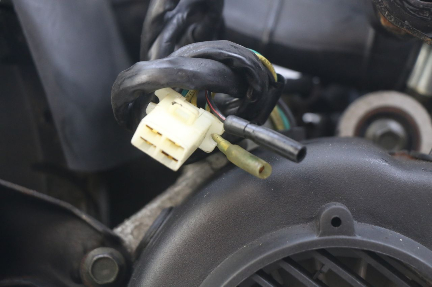 photo de MOTOR WILDLANDER BISCUIT 125 (2004 - 2010) - Charakteristische Merkmale