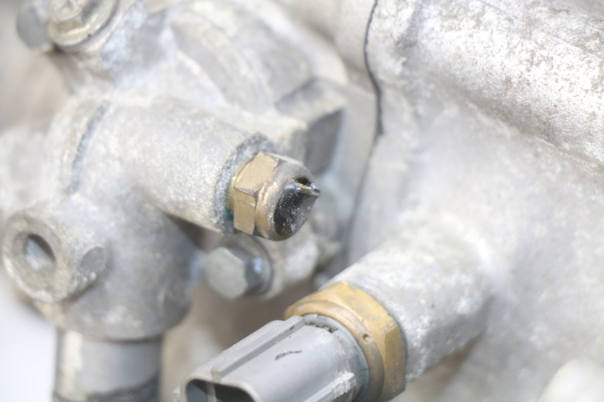 photo de MOTOR SUZUKI BURGMAN 125 (2007 - 2014) - Detaillierte Sichtprüfung