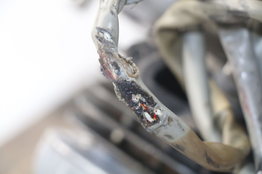 photo de MOTOR YAMAHA BW'S 50 (2004 - 2017) - Detailansicht des Bauteils