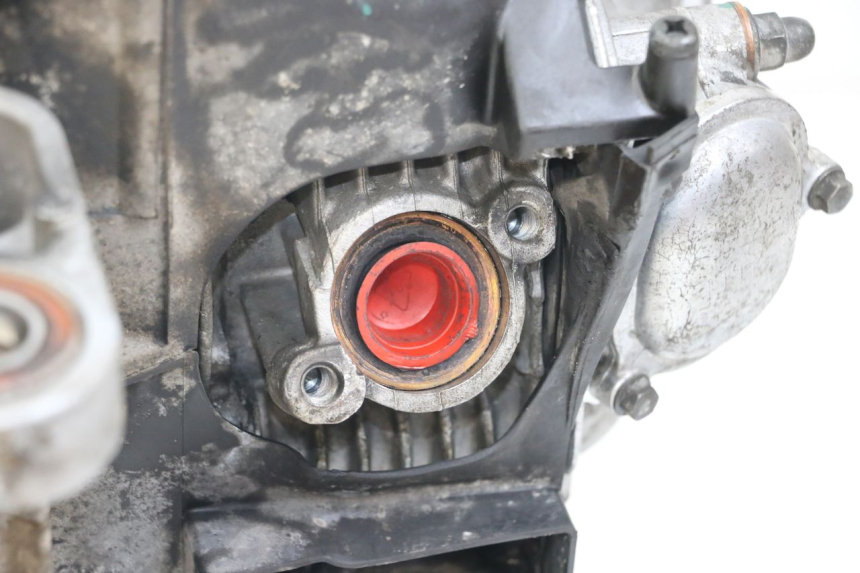 photo de MOTOR YAMAHA BW'S BWS 125 (2010 - 2013) - Technische Nahaufnahme