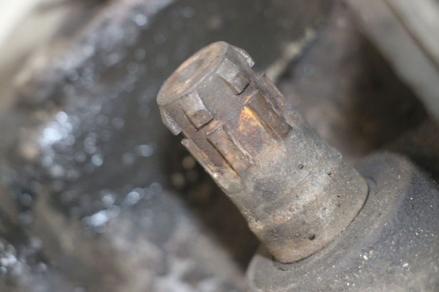 photo de MOTOR HONDA CA REBEL 125 (1995 - 2001) - Alternative Perspektive