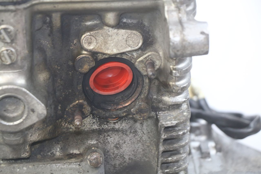 photo de MOTOR HONDA CB 500 (1997 - 2003) - Technische Nahaufnahme