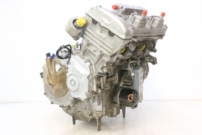 photo de MOTOR HONDA CB F HORNET 600 (2005 - 2006) - Hauptansicht