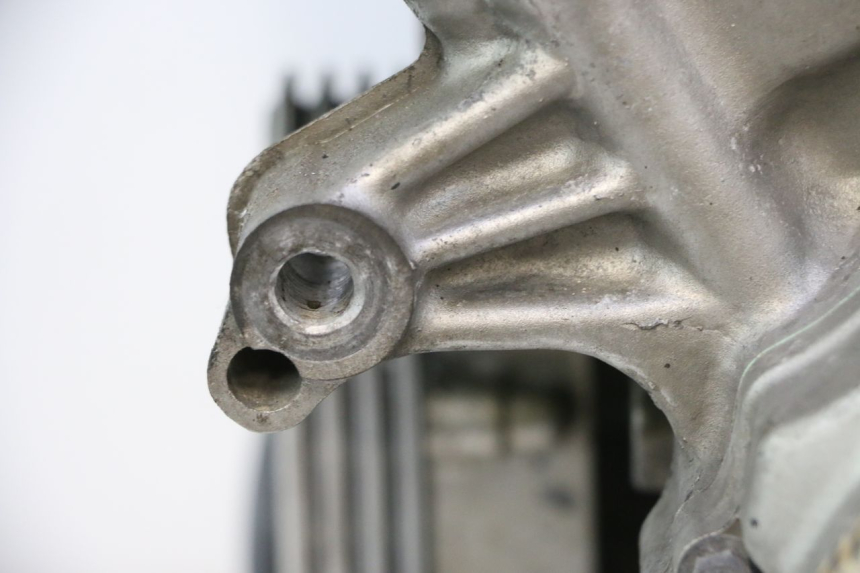 photo de MOTOR HONDA CB F HORNET 600 (2005 - 2006) - Zoom auf Komponenten