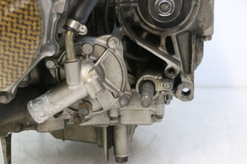 photo de MOTOR HONDA CB F HORNET 600 (2005 - 2006) - Ergänzendes Produktfoto