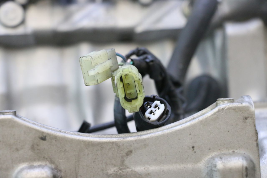 photo de MOTOR HONDA CB F HORNET 600 (2005 - 2006) - Qualität der Gebrauchtware