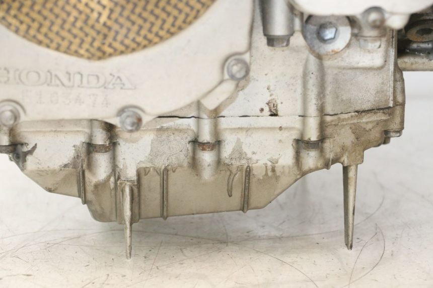photo de MOTOR HONDA CB F HORNET 600 (2005 - 2006) - Zoom auf Gebrauchszustand