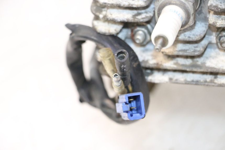 photo de MOTOR TGB CITY RS 50 (2011 - 2016) - Geprüftes Gebrauchtteil